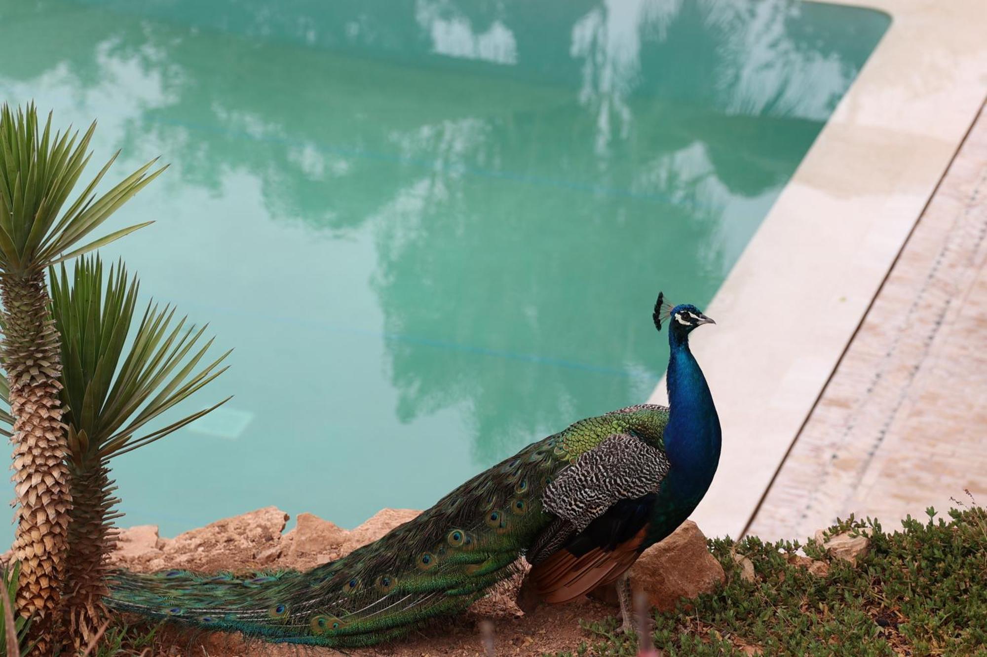 Paradis Nomade Azrarag Esterno foto
